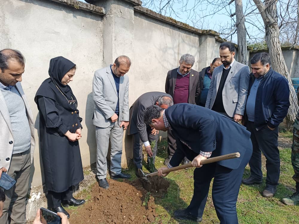 مرکز مثبت زندگی سردار جنگل نهالکاری صورت گرفت